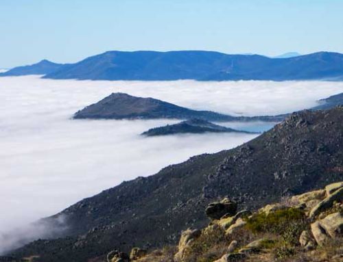 Ruta Circular nº4: la Barranca, bosques, fuentes y riscos