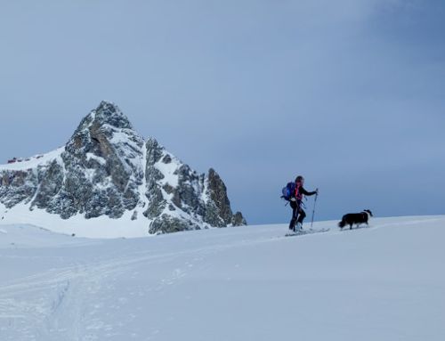 VALLE DE TENA: fin de semana de Esquí de Montaña